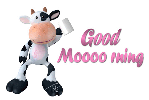 good+morning+cow.gif