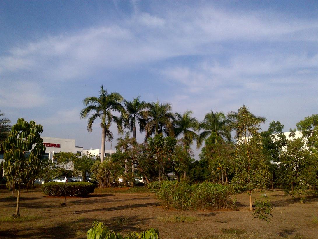 Herwono Banyu Alas Photo Collection of TBINA Panoramic