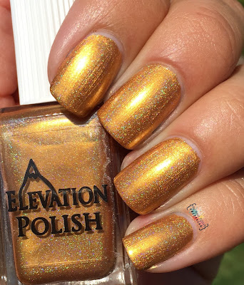 Elevation Polish Zhenjin Elevation Polish Zhenjin
