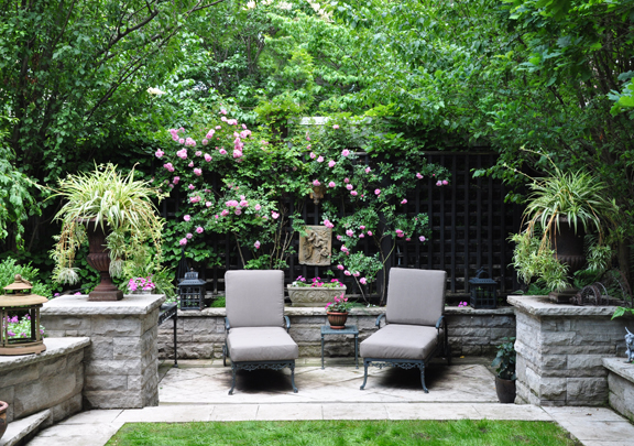 three dogs in a garden small space gardens plus book reviews and giveaway three dogs in a garden small space gardens plus book reviews and giveaway