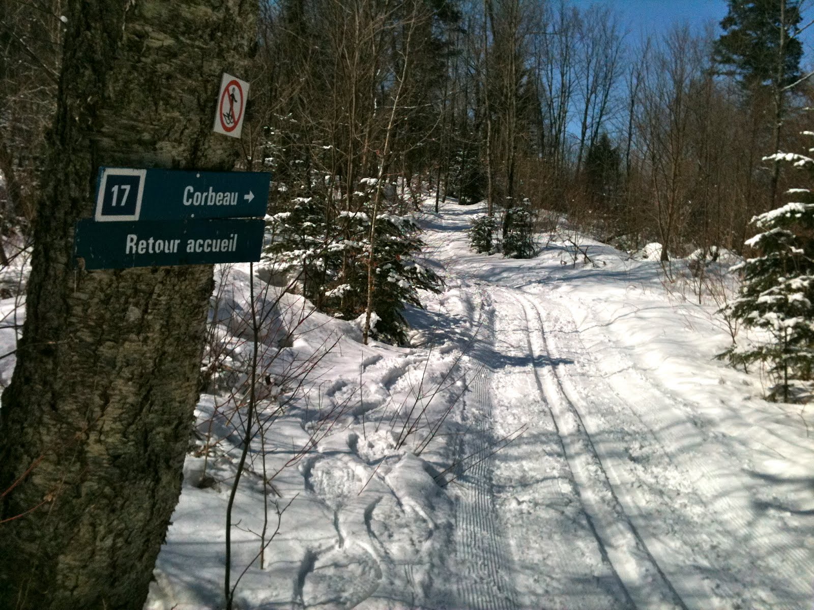 Ski Glisse Plein air SaintAdolphed’Howard secteur est