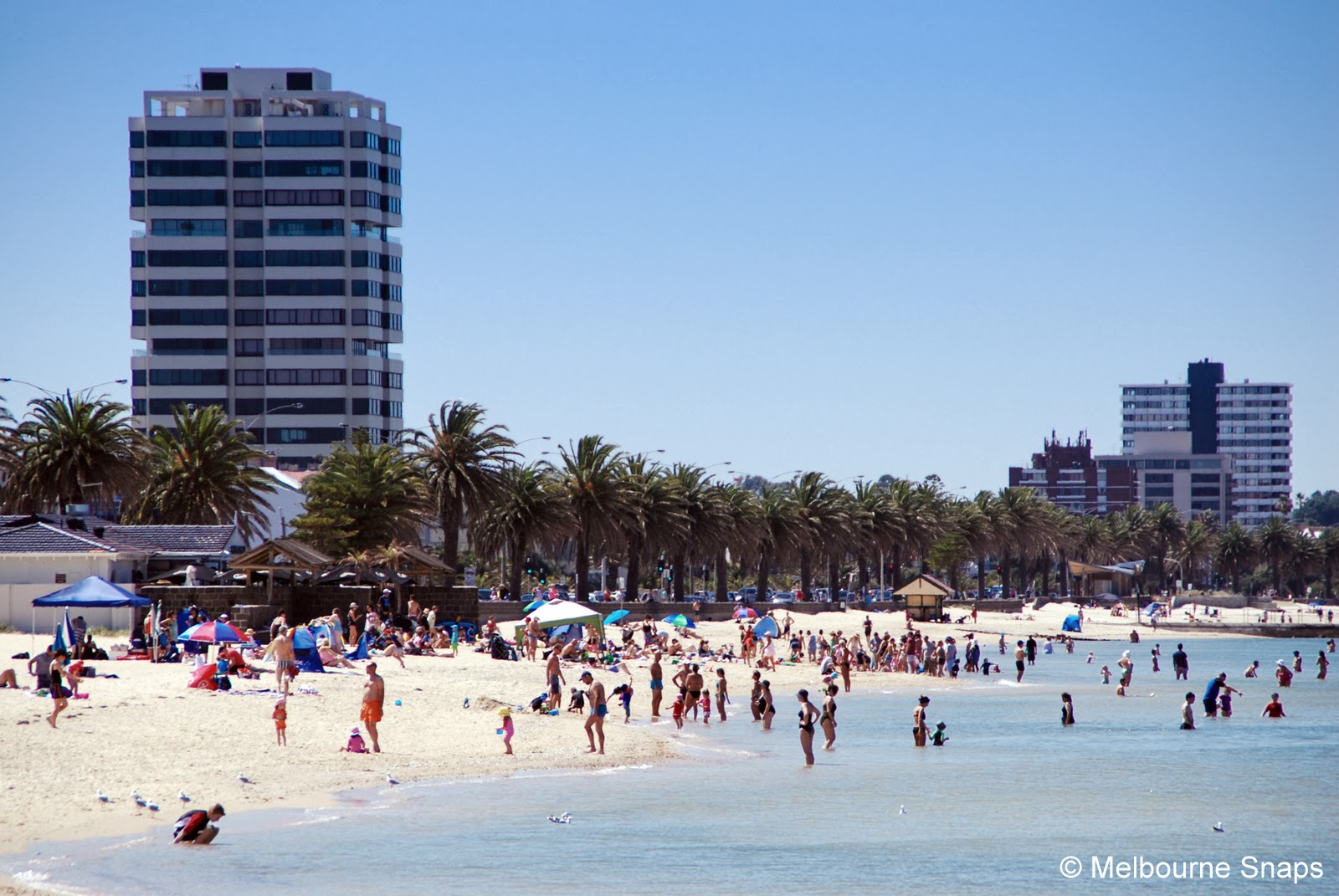 MELBOURNE.SNAPS ALBERT PARK BEACH