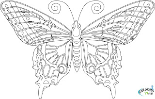 butterfly coloring pages for adult