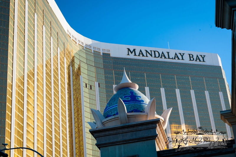 Mish*Mosh*Marsh Las Vegas Day 1