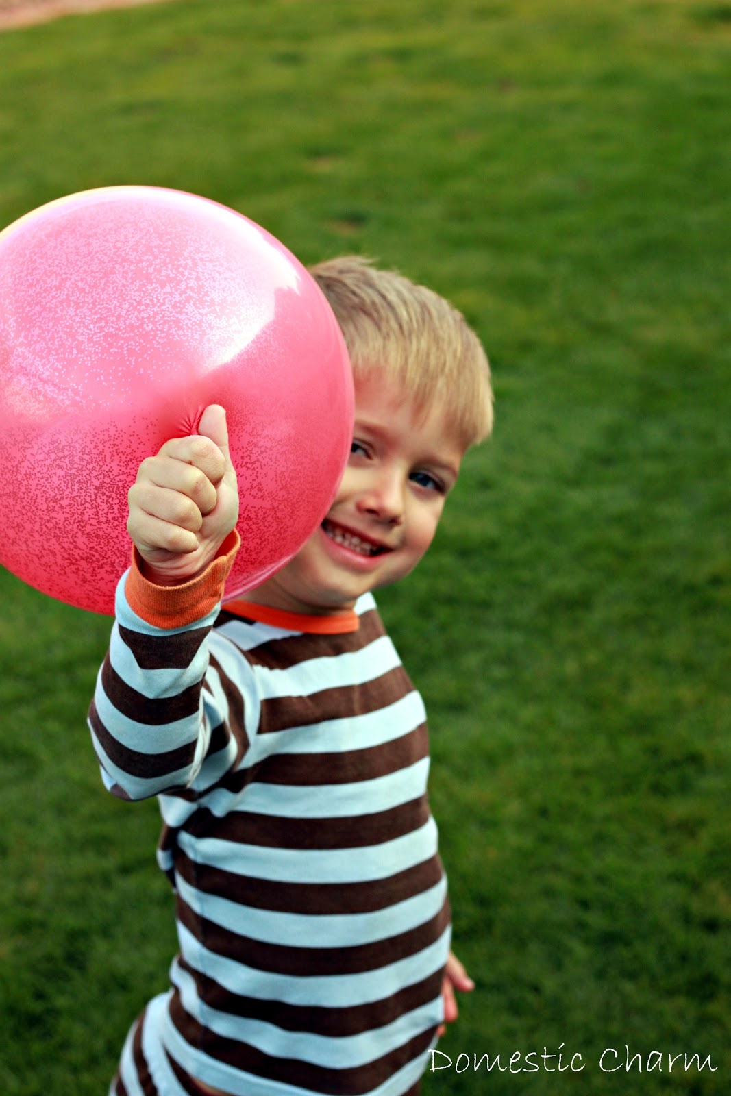 Domestic Charm Glitter Balloons