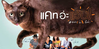 CAT A.W.O.L (2015) CAT A.W.O.L (2015)