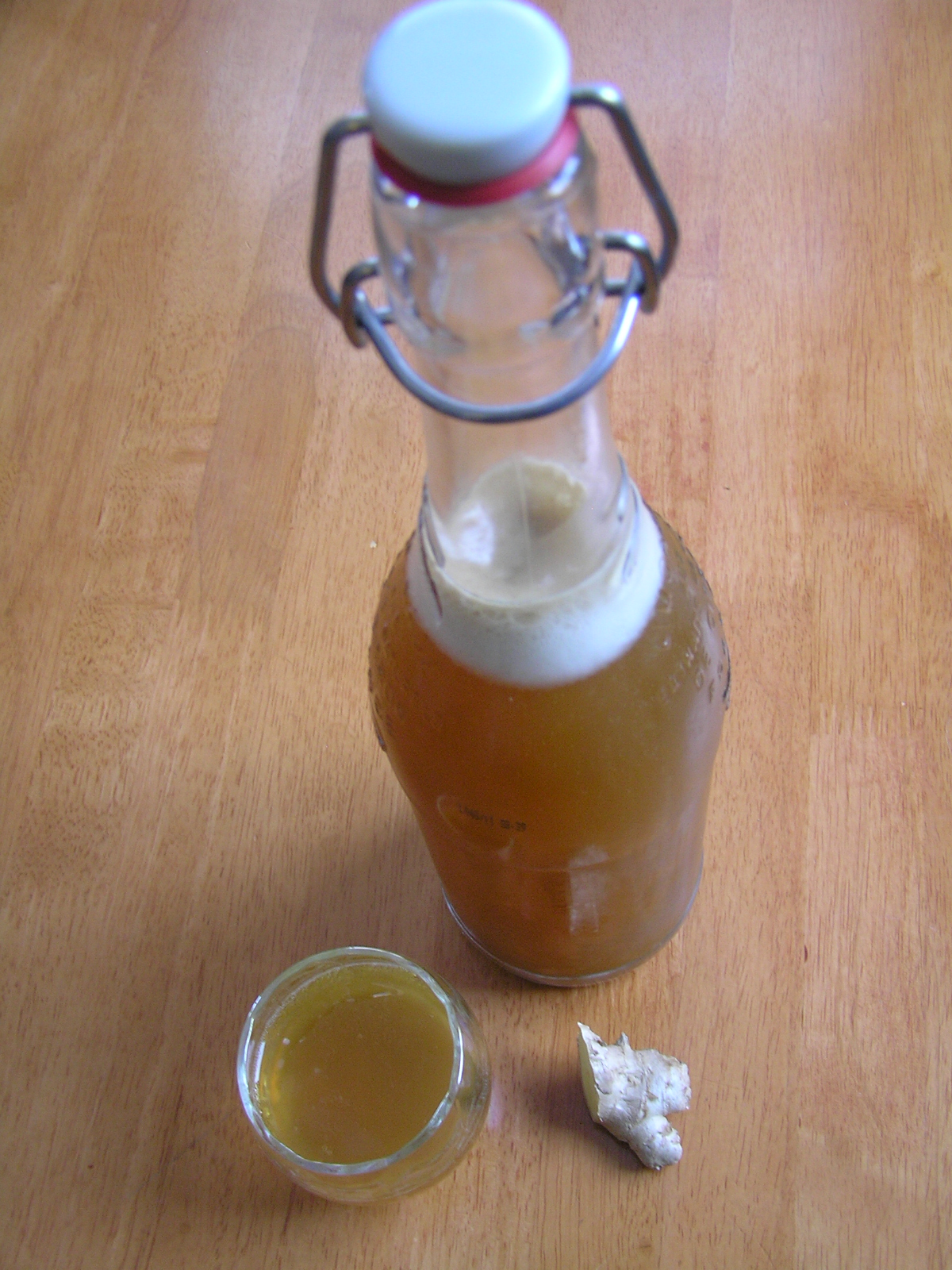 LactoFermented Ginger Ale A Life Unprocessed