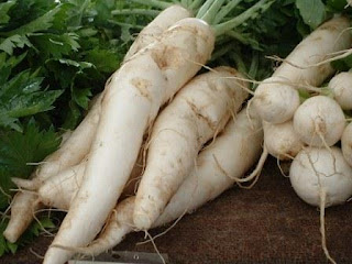 Cara Alami Mengobati Bisul Bisul merupakan penyakit yang timbul yang disebabkan oleh infeksi pada kulit dengan ciri Cara Alami Mengobati Bisul