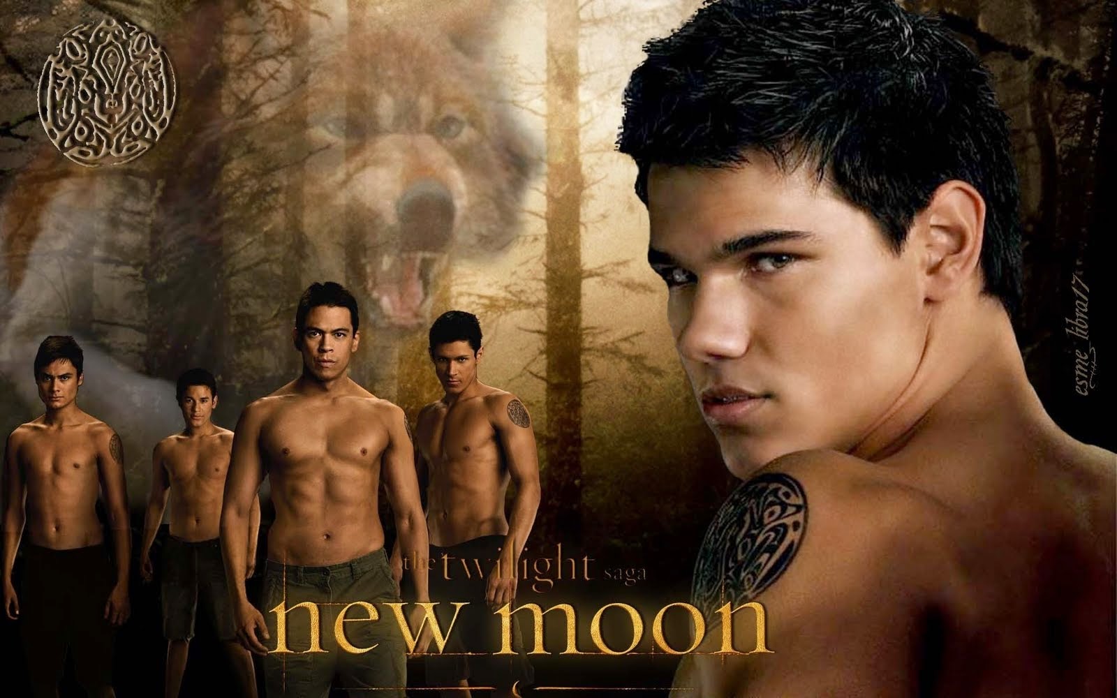 Wallpapers Joo: Twilight Movie Full HD Wallpapers