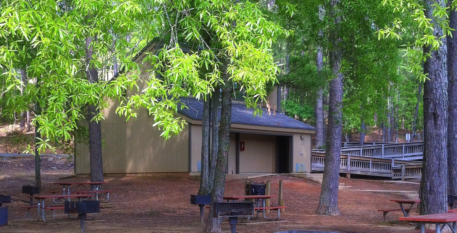 The Gypsy Boho Freedom Express LAKE BISTINEAU STATE PARK DOYLINE, LA