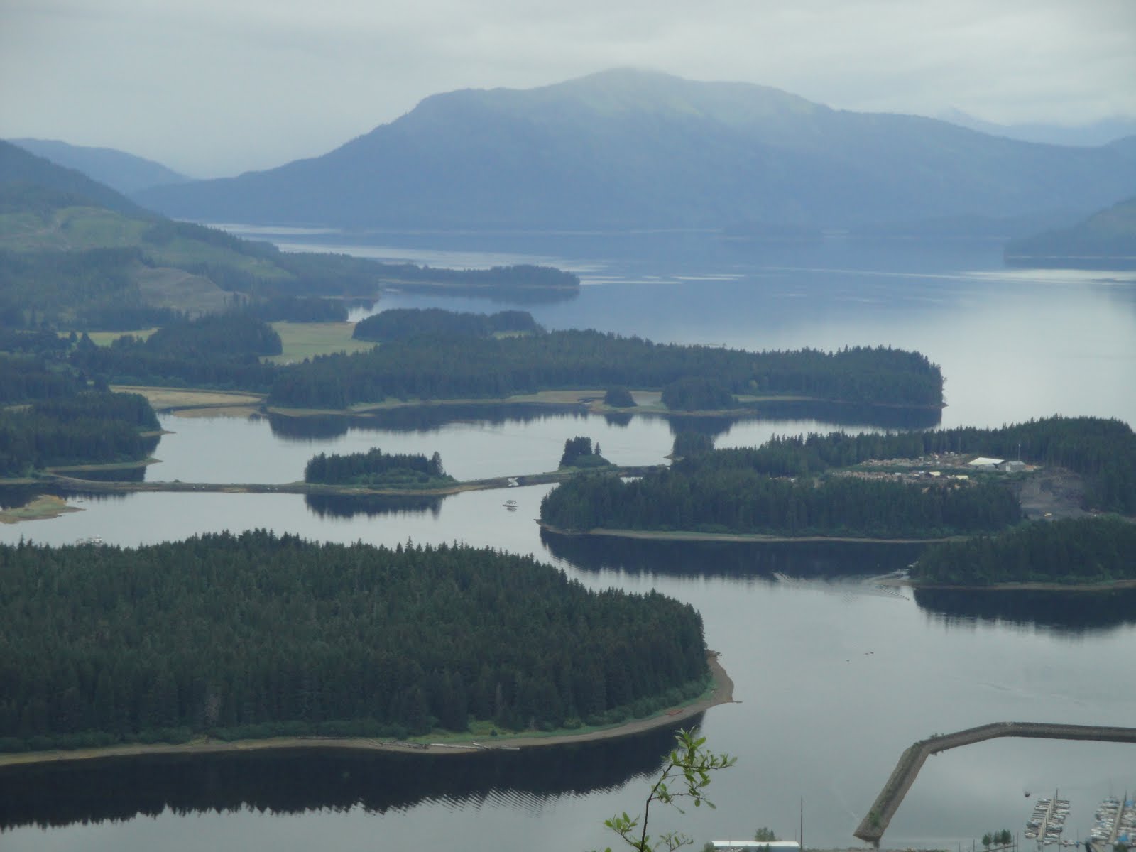 Juneau, AK, The Long Winter Hoonah and Mt Roberts carved tree