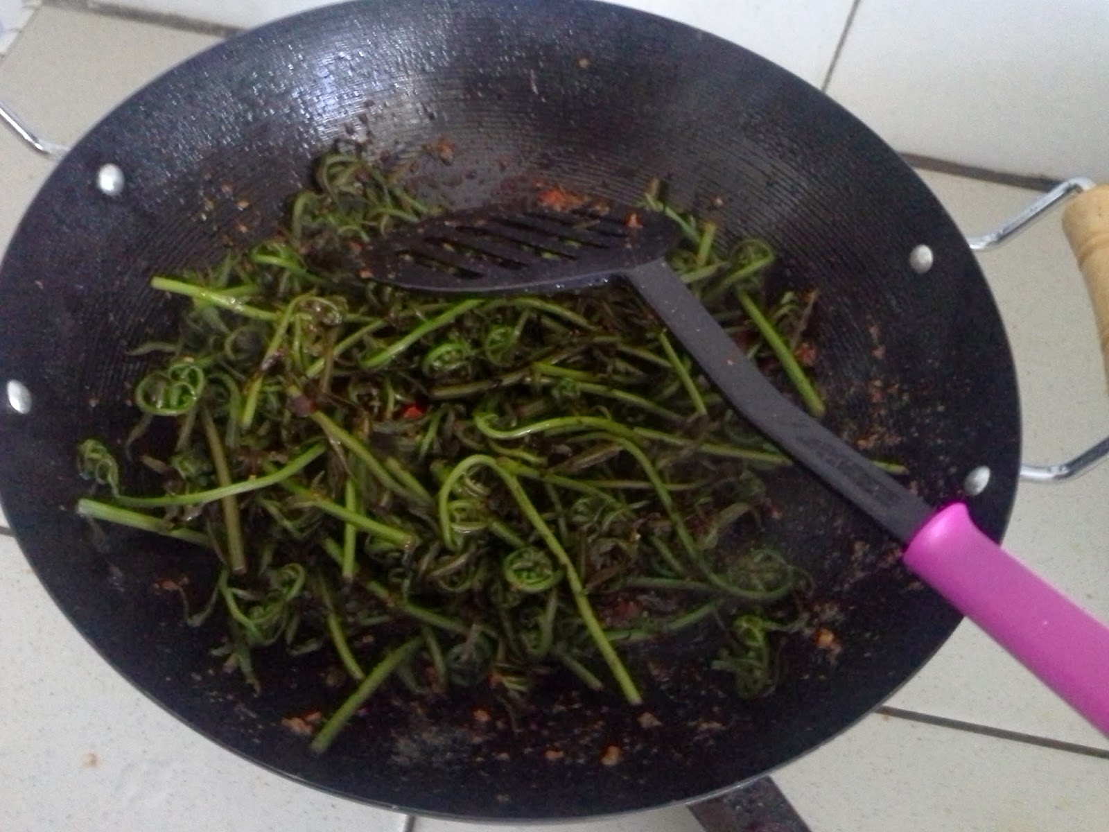 Tertunailah Hasrat Di Hati Resepi Sayur Pucuk Paku Goreng