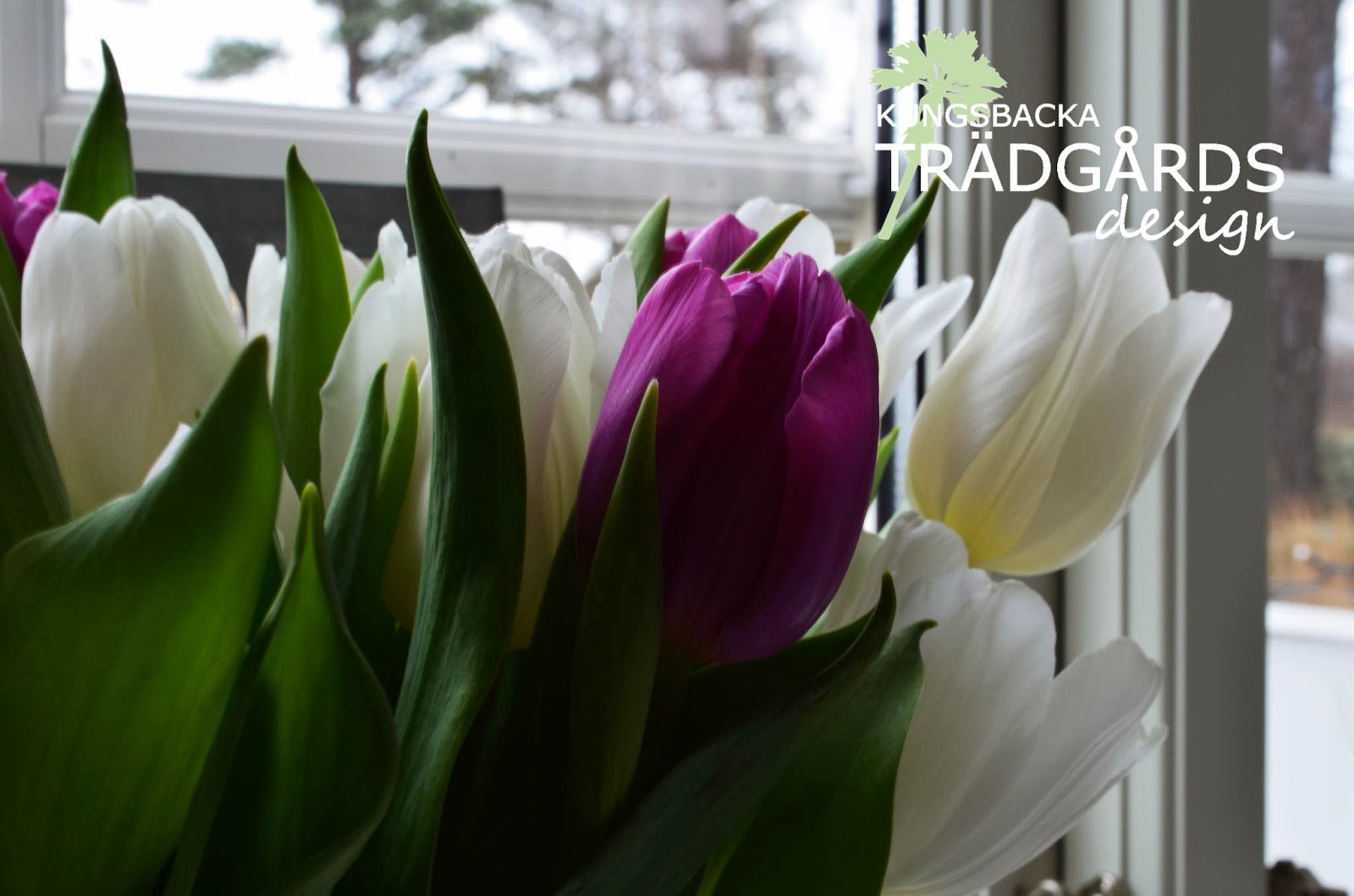 Kungsbacka trädgårdsdesign: januari 2014