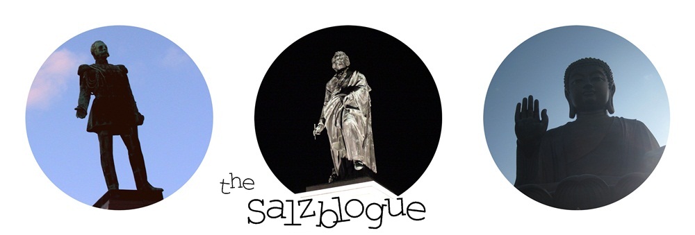 the Salzblogue