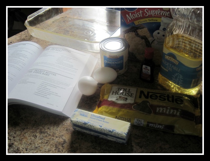 Peanut Butter Fudge Bars from the Ultimate Cake Mix Cookie Book