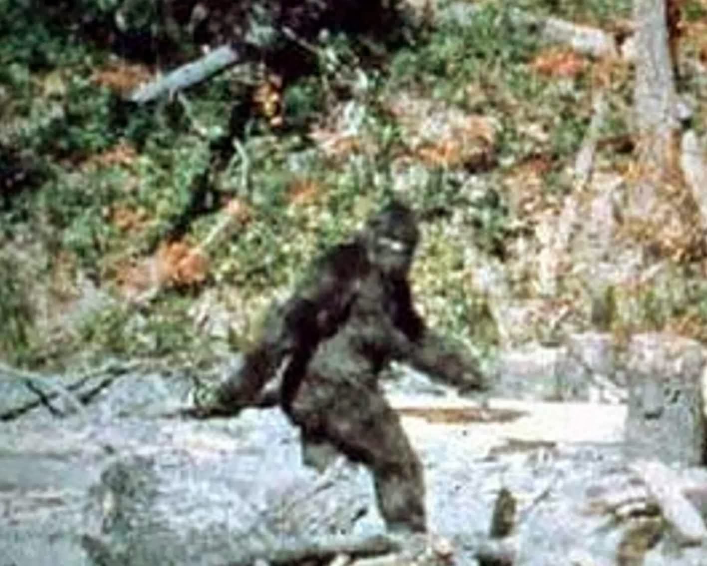 The Sniper Científicos forenses pretenden demostrar existencia del