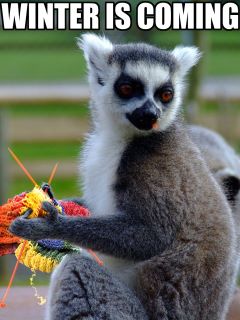 Lemur