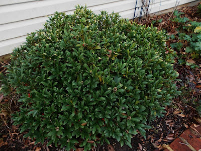 Grasslands Nursery 2018