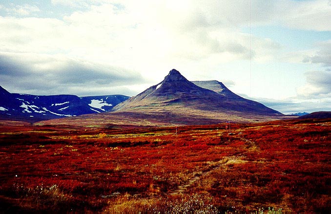 Vé máy bay từ Hồ Chí Minh đến Thành phố Vaxjo