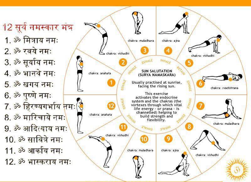 YOG AND MEDITATION SURYA NAMASKAR