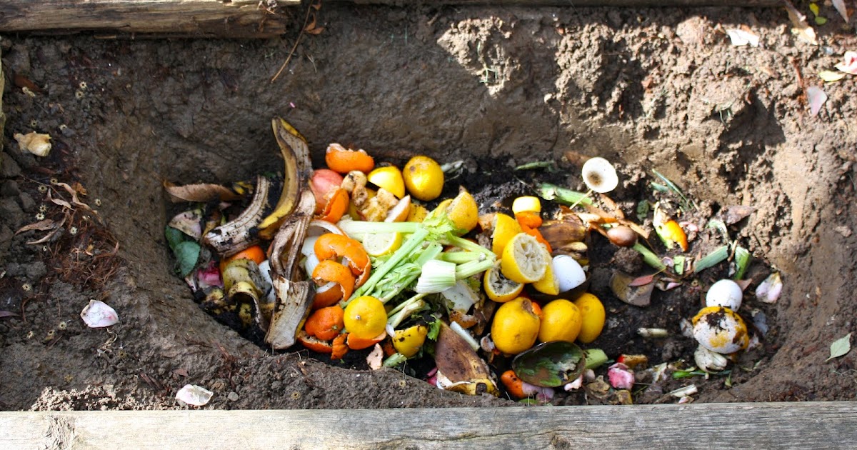 Strawberry Field's Yogurt Our Compost