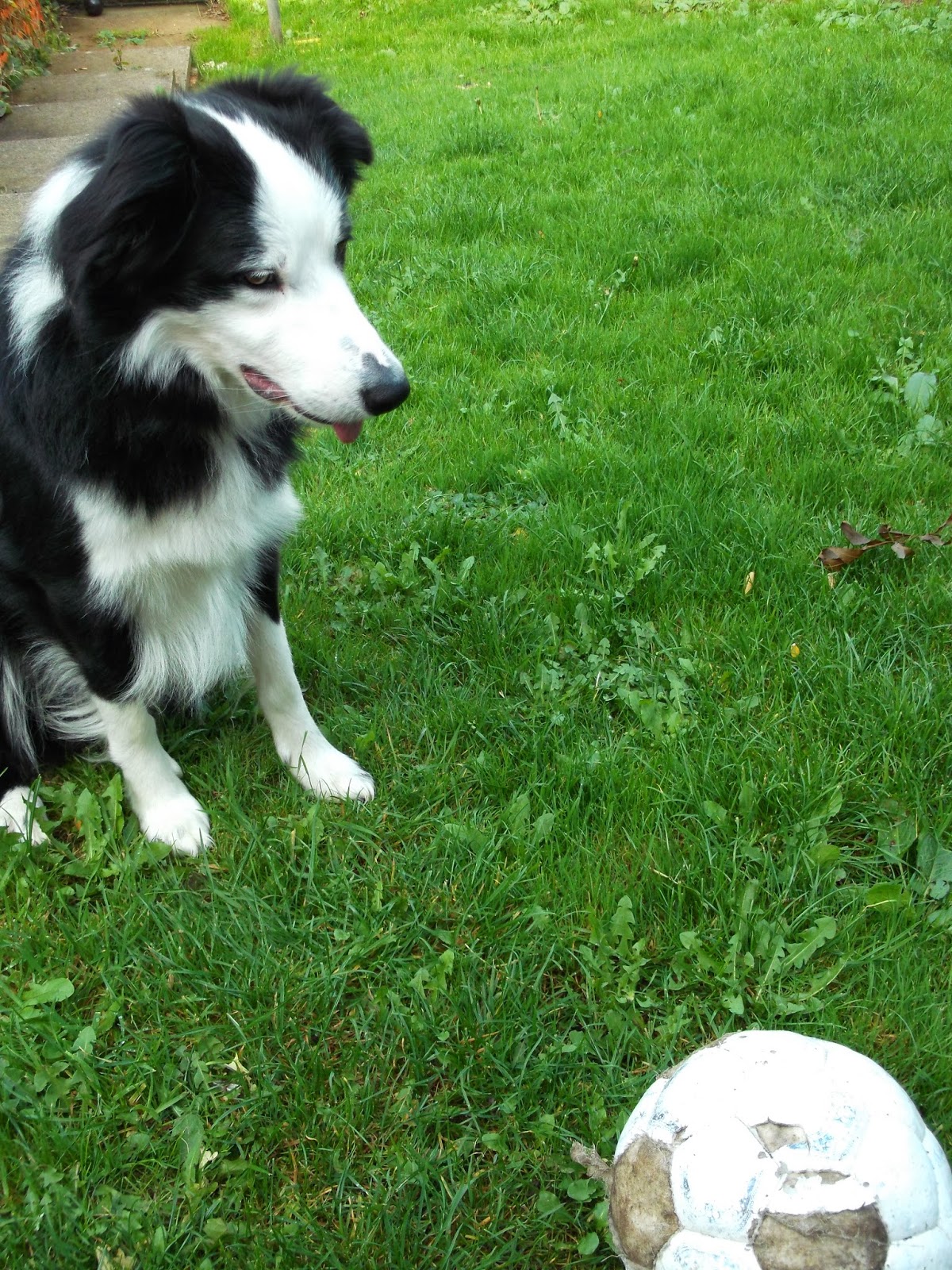 The Mini Mes Capture the Colour The Mini Mes and Me