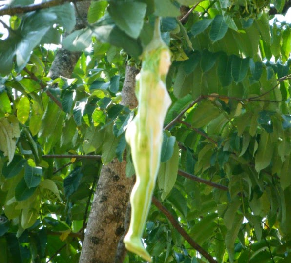 Interesting geographic information geographic geographic news 8 Interesting facts about