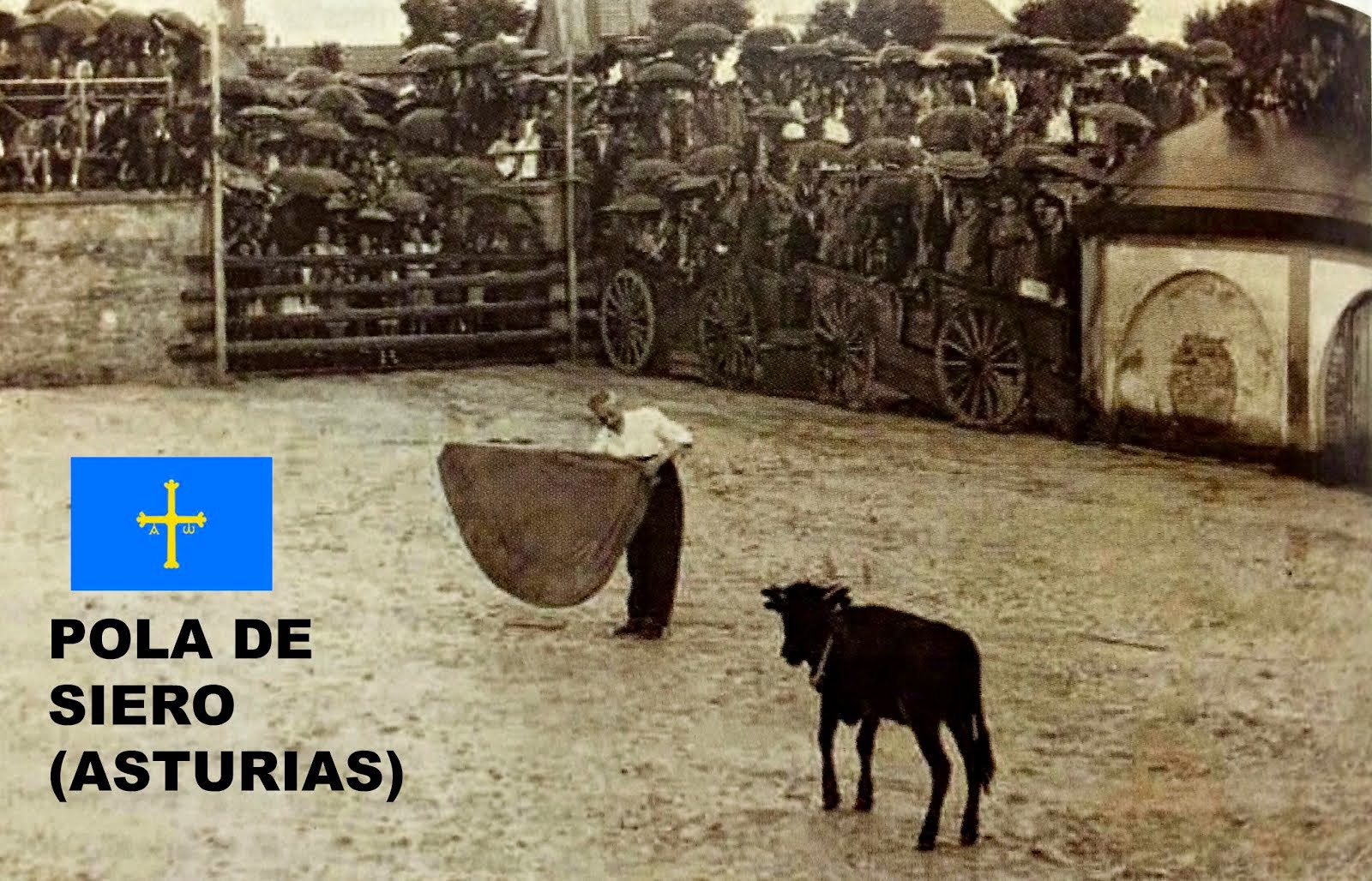 Pola de Siero toros