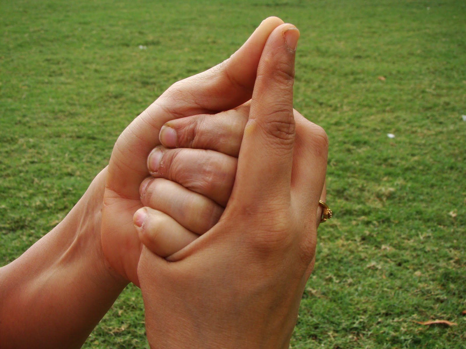 Wish Fulfilling Mudra