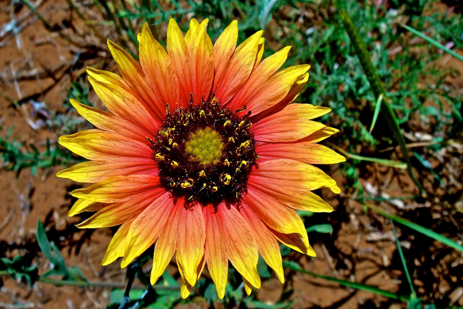 Poetry Of Spirit And Light Signs