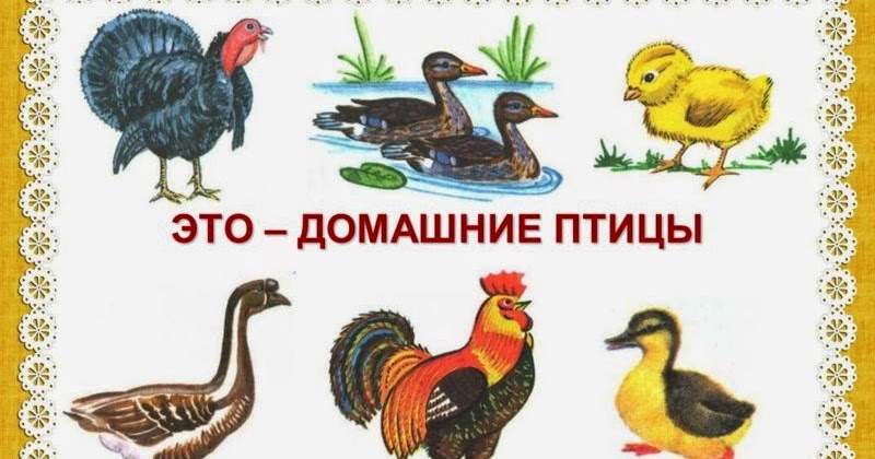 Праздники для it специалистов Праздники для it специалистов