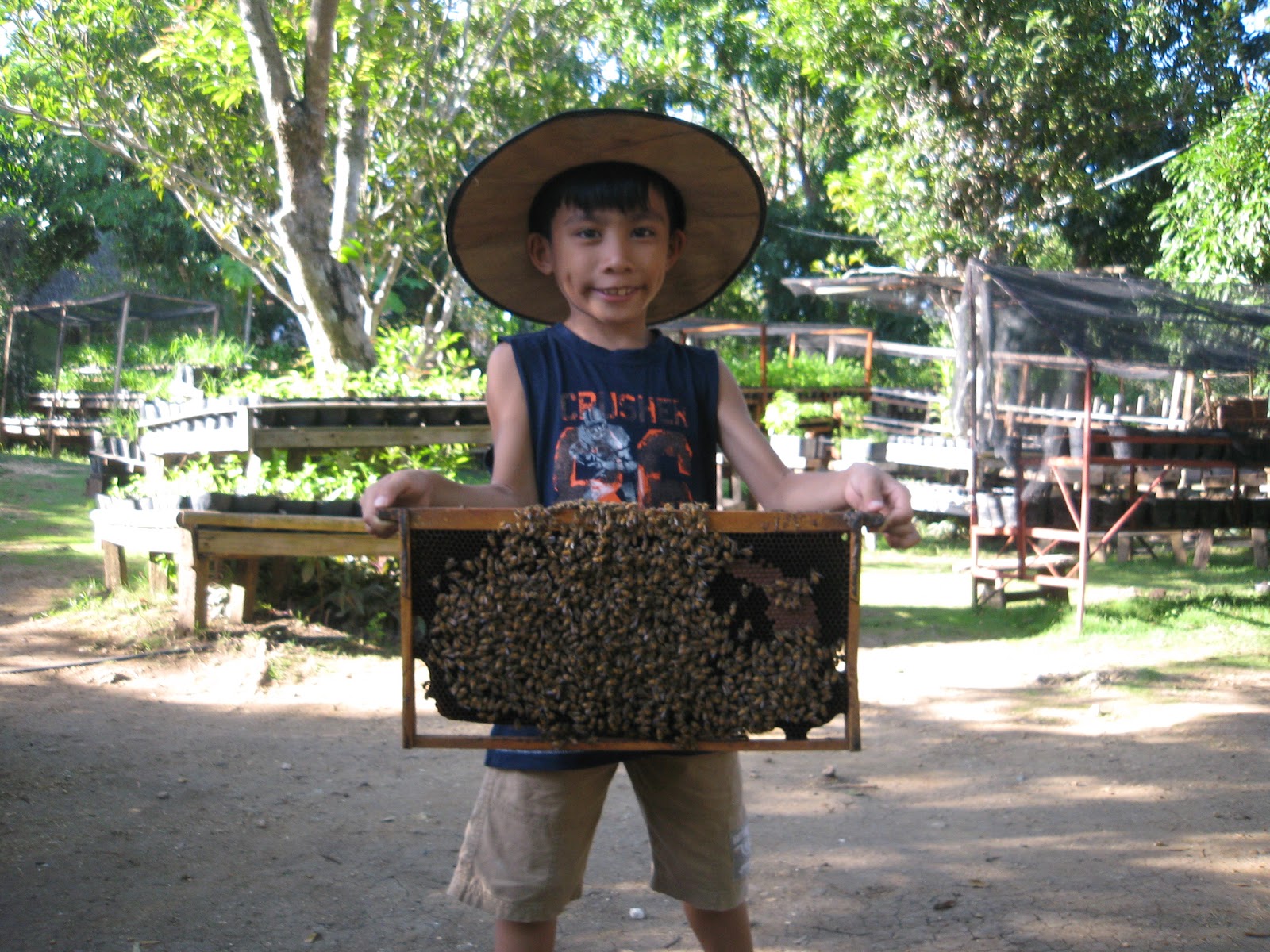 bucaio: Bohol Bee Farm