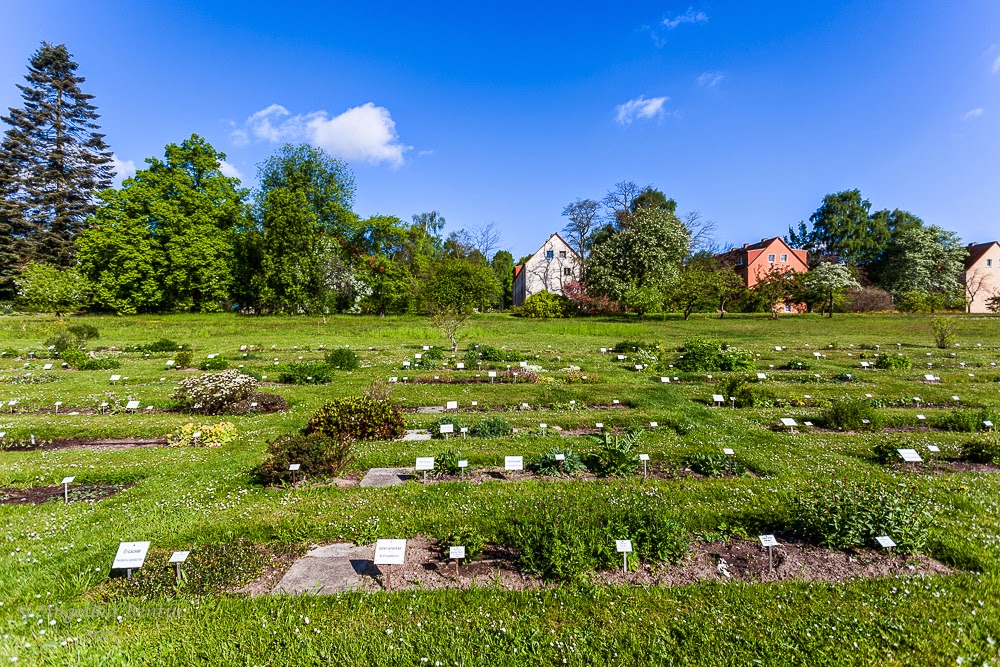 Botanischer Garten der Universität in Rostock