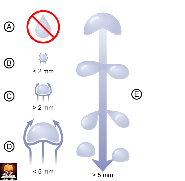 ���� ������ �� ����� ������ ������� ���� ������ �� ���� ������ ������ �������