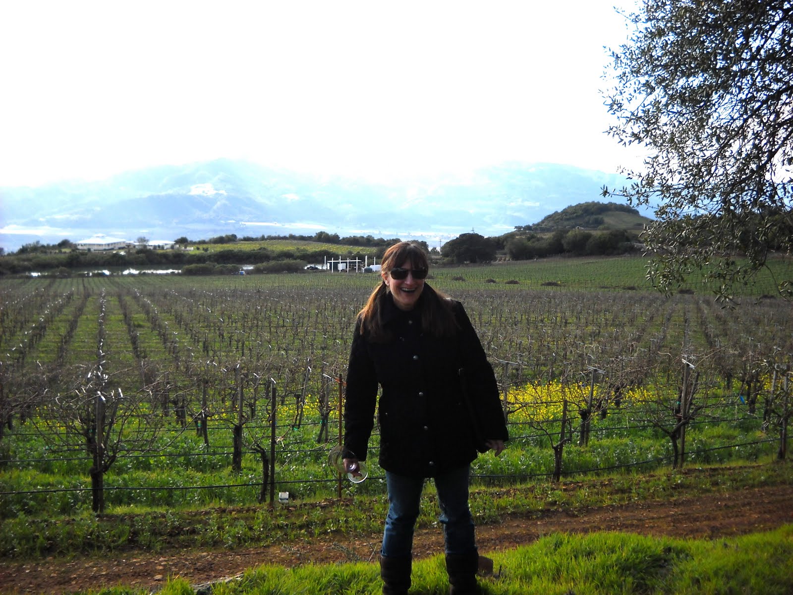 David Arthur Vineyards