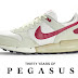 30 Jahre Nike Air Pegasus