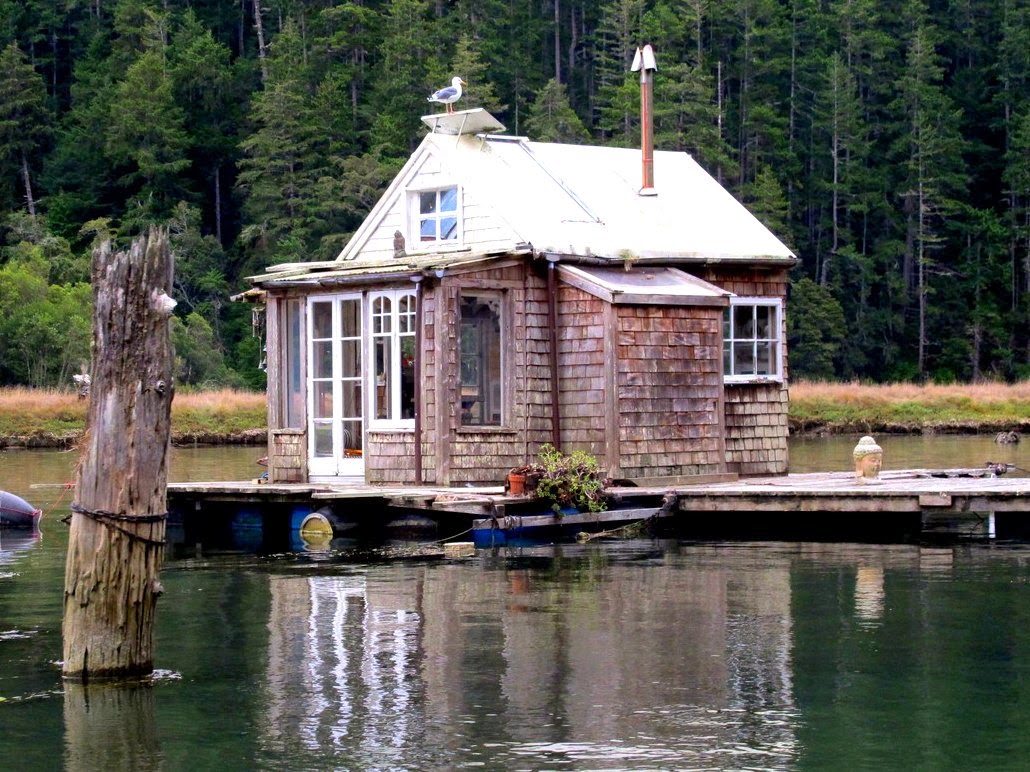 The Flying Tortoise What Could Be A Better Dwelling Than A Little