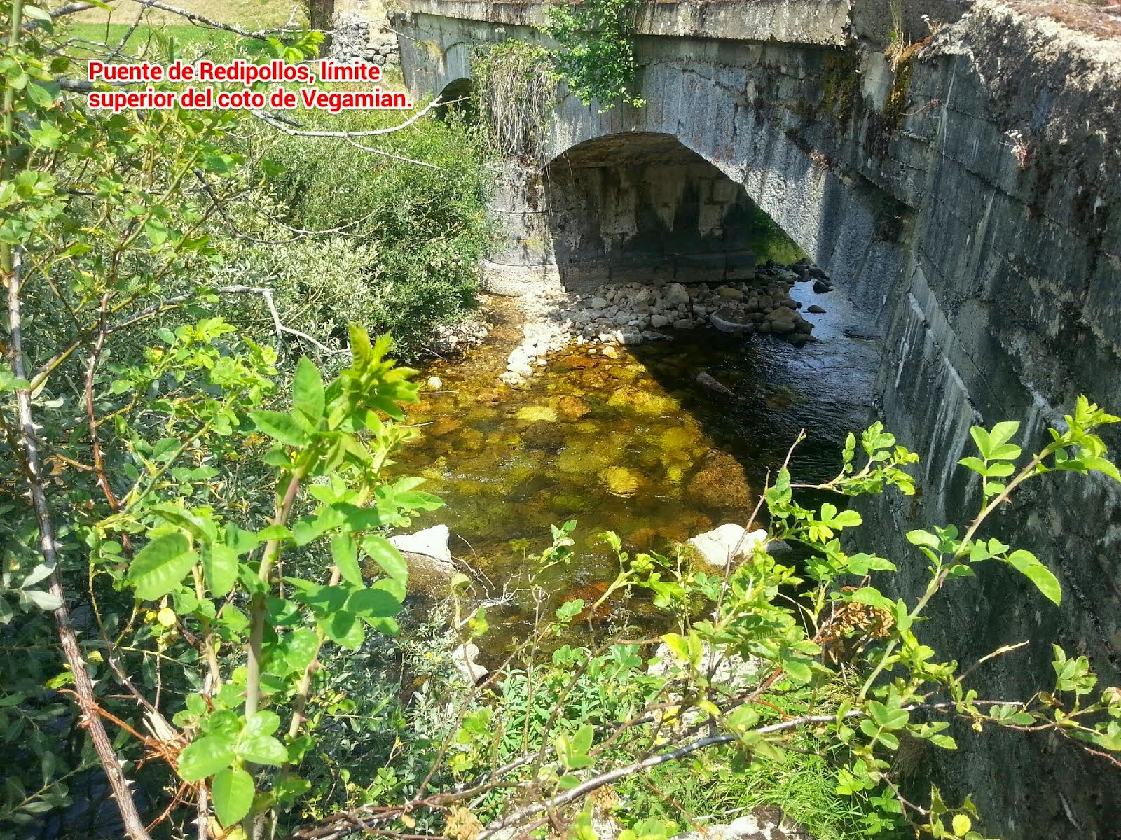 PUENTE DE REDIPOLLOS, RÍO PORMA.