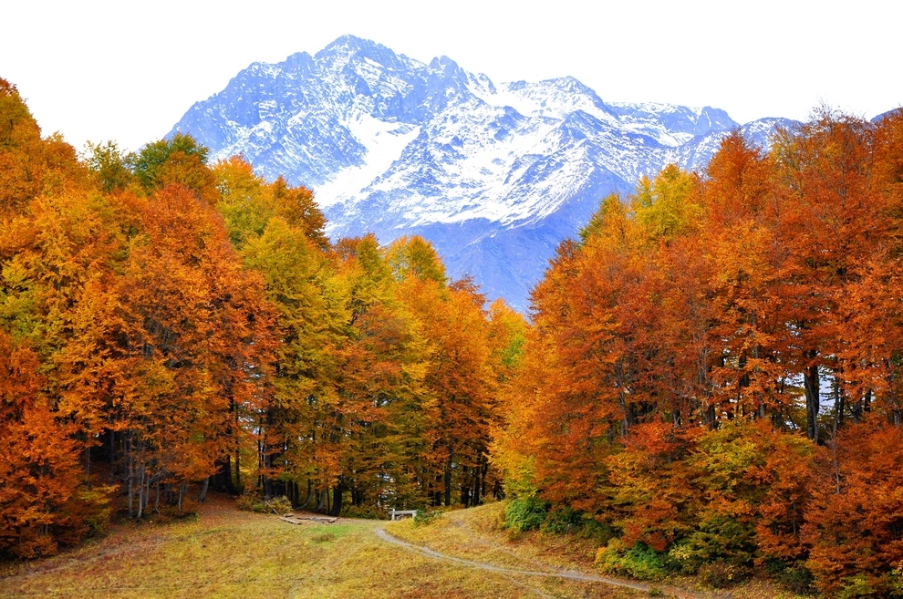 6. Do they have caramel apples in Russia? - 15 Pictures That Might Make You Want To Visit Russia 6. Do they have caramel apples in Russia? - 15 Pictures That Might Make You Want To Visit Russia