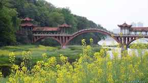 中国～四川，成都 (China~ XiChuan, Chengdu)