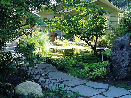 The Perfect Water Garden