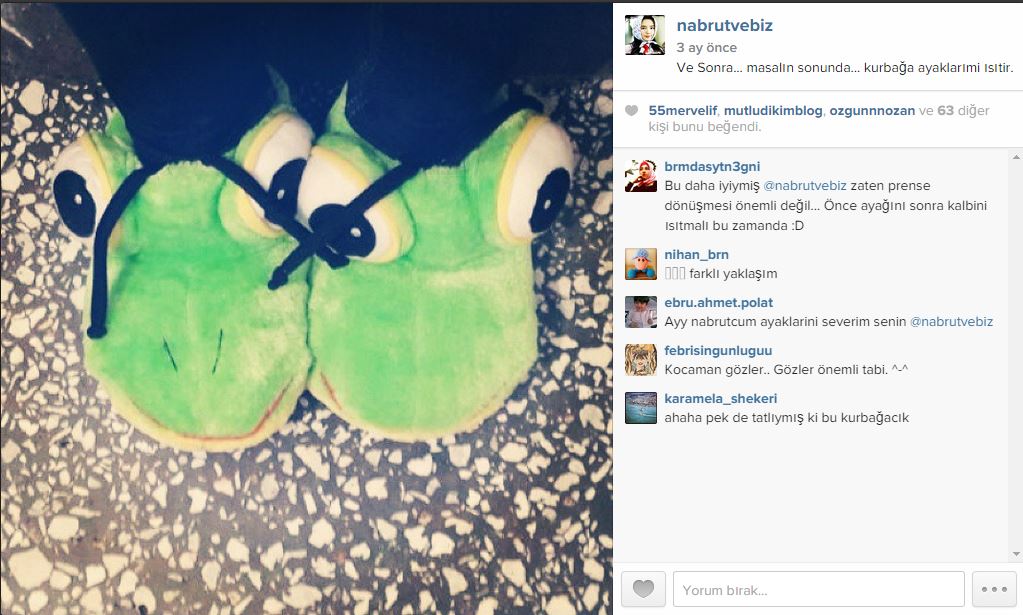 Kurbağa Prens Koleksiyonum Nabrut Fıdıllıoğlu