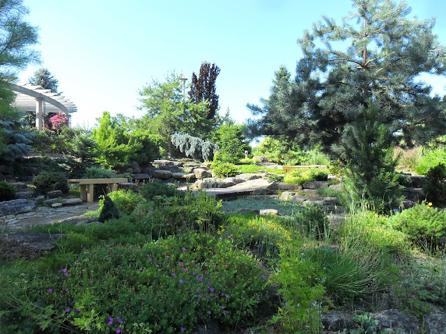 Backyard Patch Herbal Blog: Traveling to Janesville, WI and the Rotary