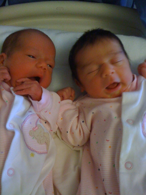 Kimberly S Khronicles New Babies