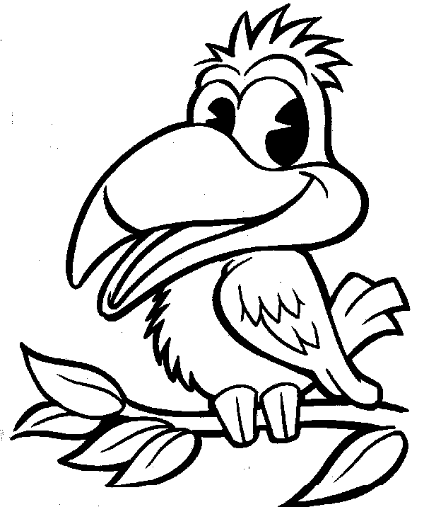 Various Types Of Bird Coloring Pages 2 title=