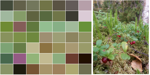 Hitta rätt färger till ditt fotografi Lingonfarger