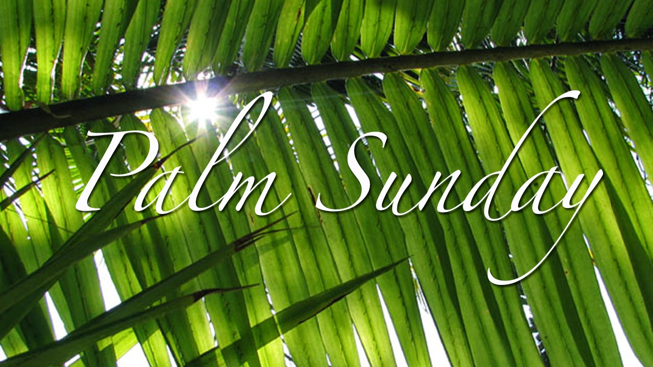 The Stuff of Legend Bible Verse Sunday 71 & Palm Sunday 2014