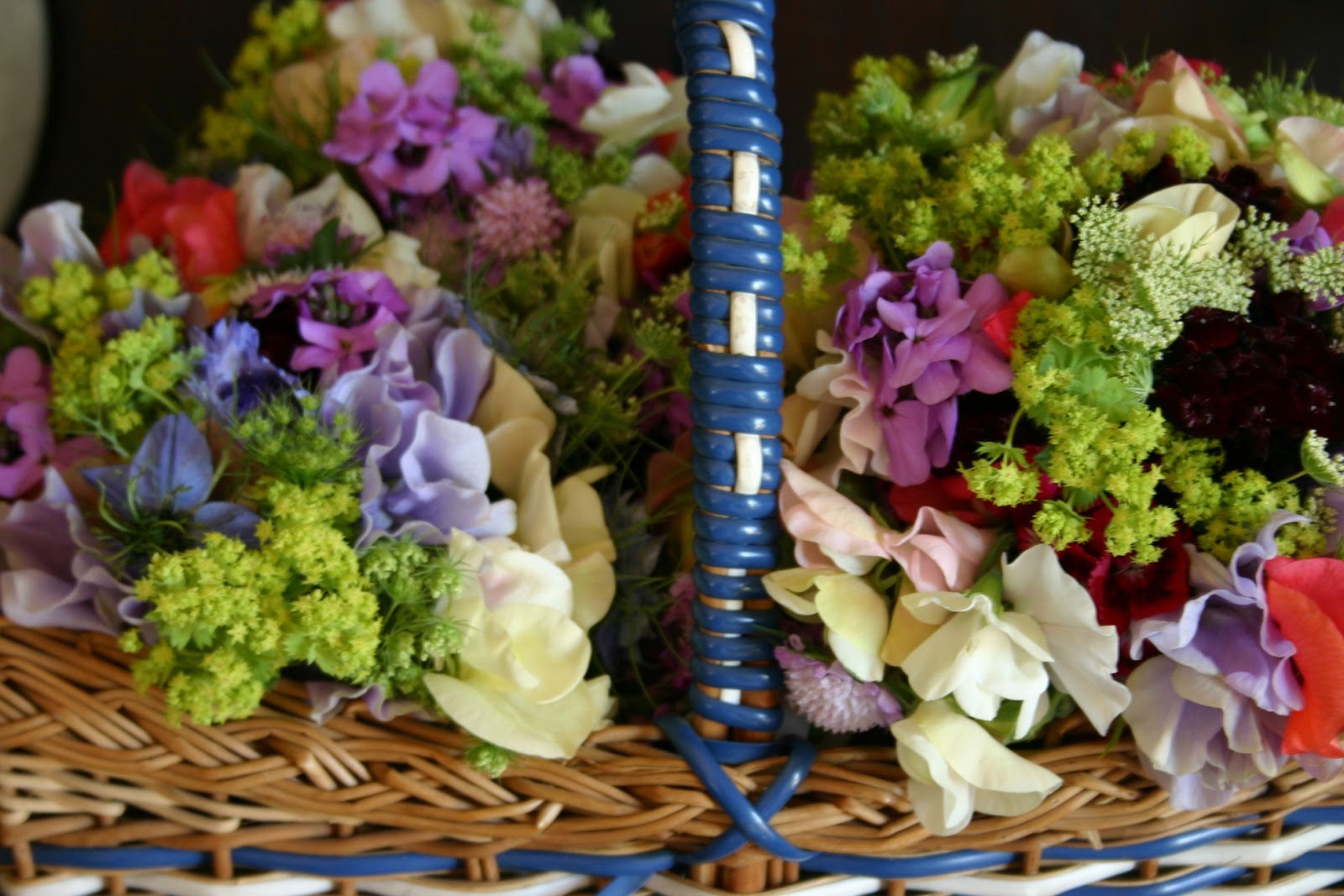 foxgloves & other british natives as cut flowers Common Farm Flowers