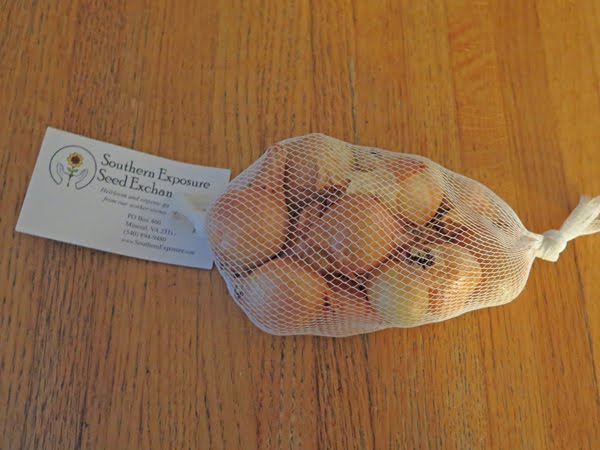 Multiplier onions recipes for salmon Multiplier onions recipes for salmon