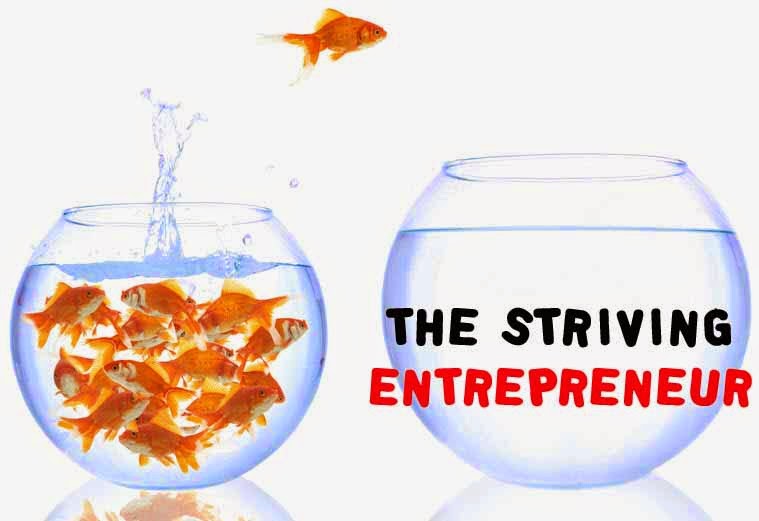 The Striving Entrepreneur